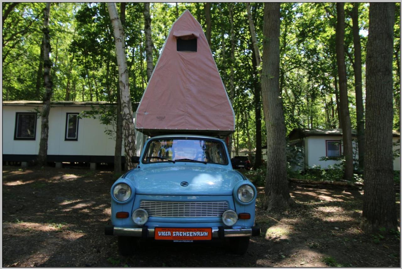 Ddr Sachsenruh Direkt Am Luxury tent Dranske